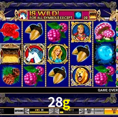 28g Brasília - VIP Program